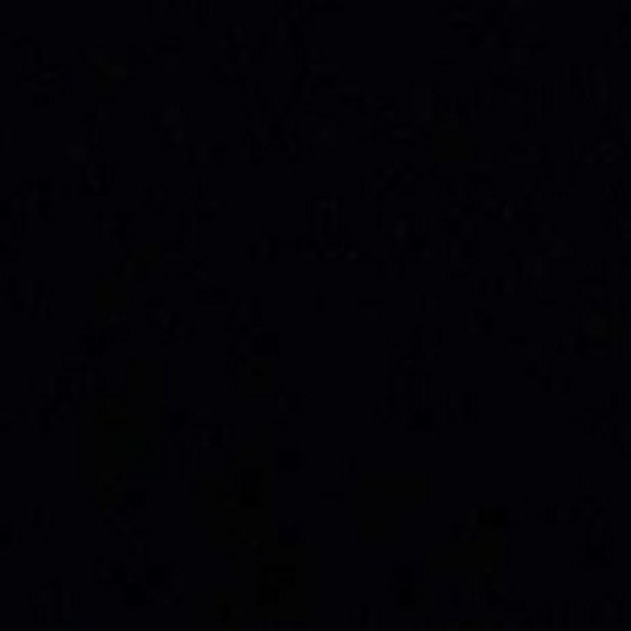 Meet your Posher, Chloe - Picture 1 of 1